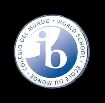 IB Board